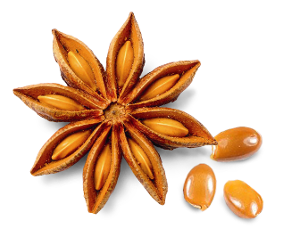 Decorative Image