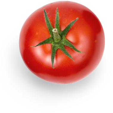 Decorative Image