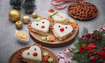 Sandwic Tuna Cartoon Christmas