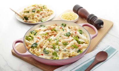 One Pot Chicken Cheese Pasta